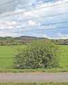 Edge of Linton location is proposed for new homes development3