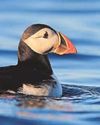 Ocean charity loses high court battle over oil and gas licences21