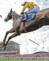 It’s time for Temps in bid for Tingle Creek Sandown glory16