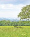 Former royal hunting ground to be transformed for wildlife and people16