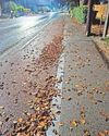 Resident says street has been a 'disaster' since work on major project was finished4