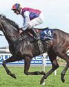 Couleurs back on song for Welsh National tilt24