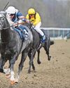 Mitchell can steer Varian's Sea to Listed success again26