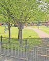 Cambridge News