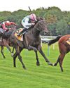 Unbeaten Bow Echo ready to taste Classic success at HQ22