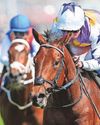 Saxon Street can book place in Derby line-up for Gosdens Saxon Street can book place in Derby line-up for Gosdens18