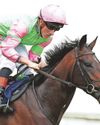 Forty Years On can maintain unbeaten streak at Newbury Forty Years On can maintain unbeaten streak at Newbury21