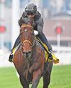 Satono Reve's hoping to be a first for Japan at Royal Ascot Satono Reve's hoping to be a first for Japan at Royal Ascot19
