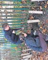 Brentwood Gazette