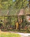 Go Ape casts a wide net with new attraction0