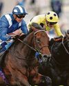 Alyanaabi is one to beat in the John Of Gaunt Stakes21