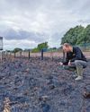 'We are appalled by these criminal acts of destruction'2