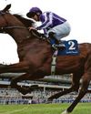 Delacroix can make up for a poor Derby show19