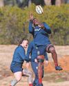 Lions skipper backs Farrell's comeback30