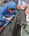 HORSE POWER A Cinderella story could make dreams come true28