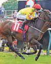 Easterby's Jewel set to sparkle again at Redcar24