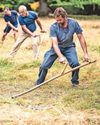 King's species-rich wildflower meadow cut back in scything22