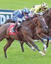 Newmarket trek pays off well for the Gosdens29