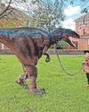 Couple hatch a roarsome idea for children’s parties13