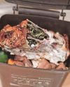 Food waste collection fears9