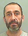 Owner jailed after danger dog bit arm of passer-by Owner jailed after danger dog bit arm of passer-by6