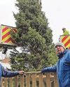 Christmas tree called 'an insult' is to be replaced10