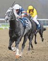 Sea ready to sail to Lingfield glory33
