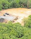 Campaigners hail £15m clean-up of illegal ancient woodland waste Campaigners hail £15m clean-up of illegal ancient woodland waste15