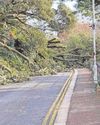End in sight for Road of Remembrance closure1