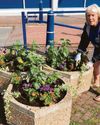 Community comes together to bring Hythe into bloom9