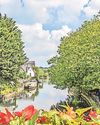 Hertfordshire Mercury