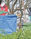 Sevenoaks Chronicle