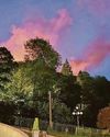 Leatherhead and Dorking Advertiser