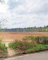 Leatherhead and Dorking Advertiser