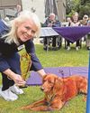 Irish Setter Stanley takes the honours at dog show0