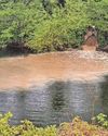 Anger over 'stinking' discharge into river2