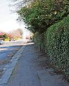 Council approve plan for eco-friendly home Council approve plan for eco-friendly home