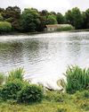 Durrockstock deserves to remain a haven for the beauty of nature Durrockstock deserves to remain a haven for the beauty of nature