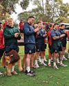 Lions tell hosts to release stars20