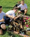 School pocket garden reaches final in contest5