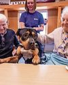 Plenty of puppy love for Erskine veterans4