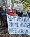 Campaign to stop tree felling has now failed7