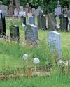 Overgrown state of Paisley graveyard ‘is not acceptable’7