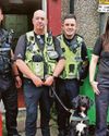 Fake tobacco worth £3.5million seized in series of police raids across Dumfries Fake tobacco worth £3.5million seized in series of police raids across Dumfries2