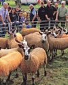 Agricultural sections on show at Glenkens21