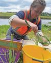 'Eel pass' is saving the species from extinction8