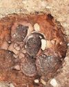 Twentyshilling Barrow dig unearths ancient mystery6