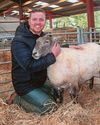Rescued sheep Fiona expecting twins Rescued sheep Fiona expecting twins2