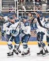 COUNCIL TO SUE SHARKS1