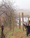 Trinity captures life alongside River Nith6